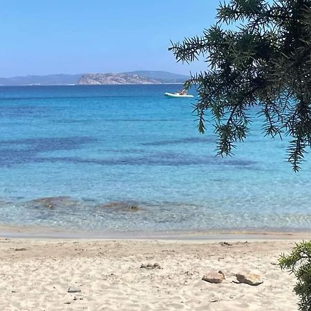 Surf House Mirice Apartment Vignola Mare ภายนอก รูปภาพ