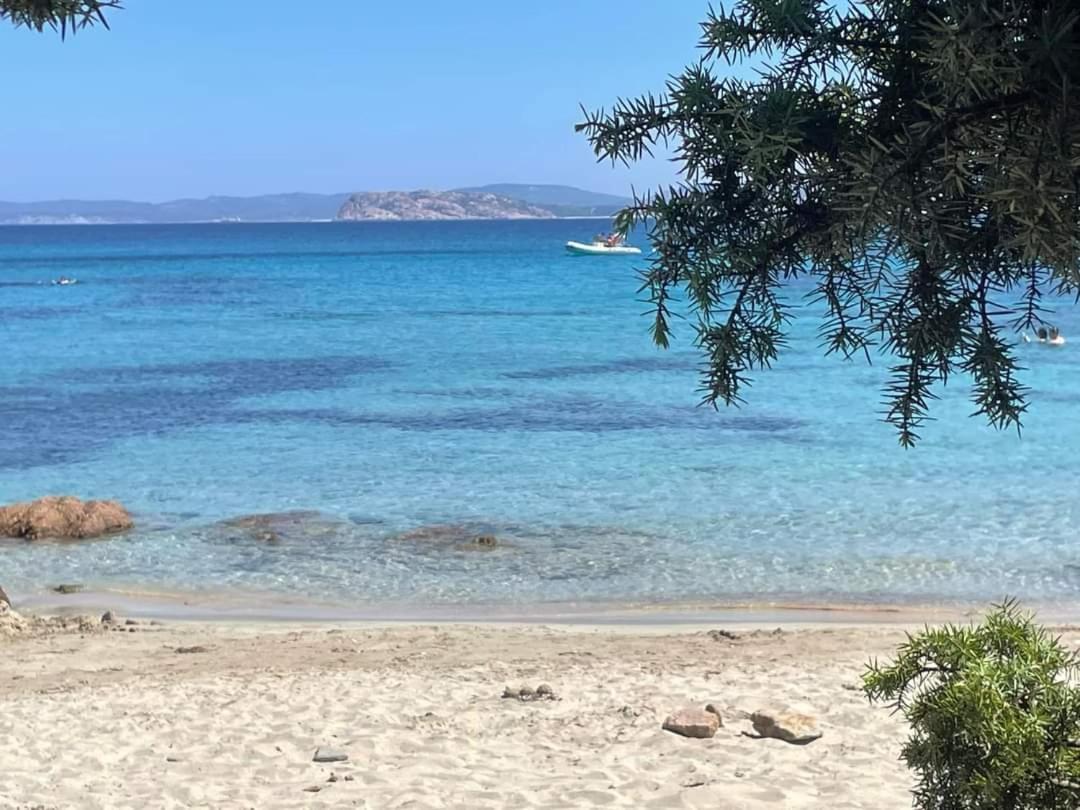 Surf House Mirice Apartment Vignola Mare ภายนอก รูปภาพ
